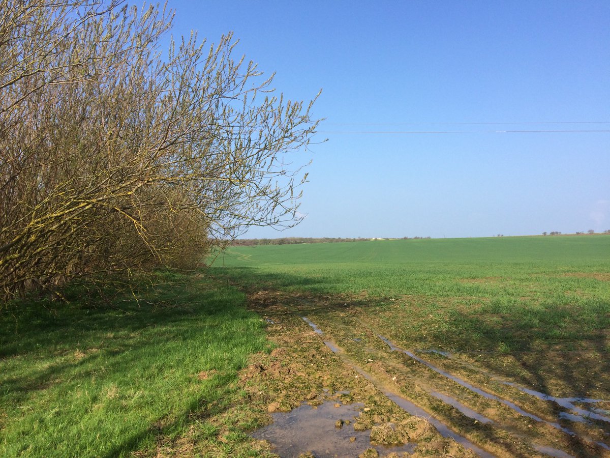 neish397's tweet image. Omg has #springarrived?