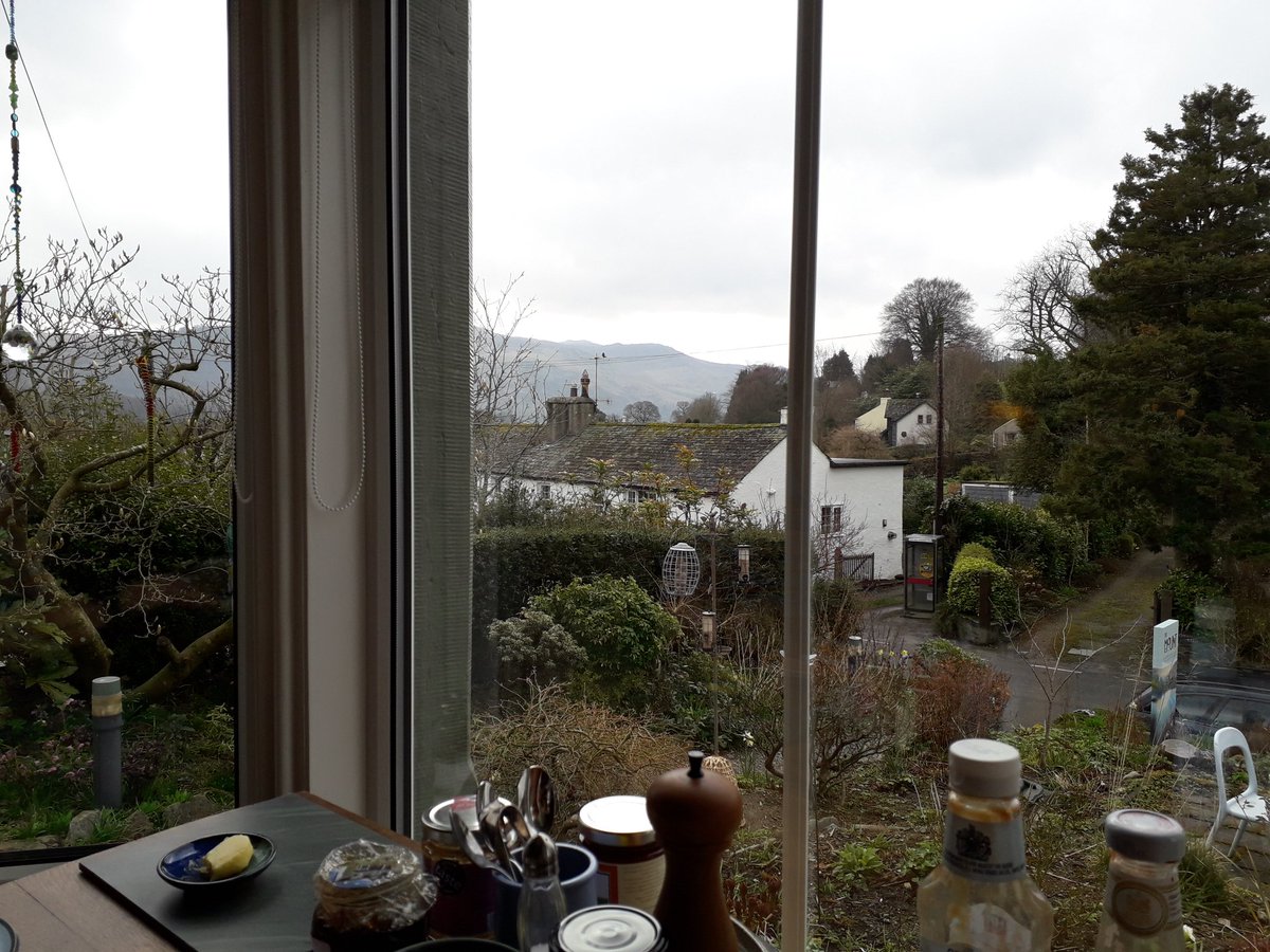 Great start to the day <a href="/TheMountKeswick/">The Mount</a> lovely breakfast and happy Archie #cockapoo #dogfriendly <a href="/cumbriatourism/">Cumbria Tourism</a> #NotJustLakes all ready for #Lakedistrict walkies!