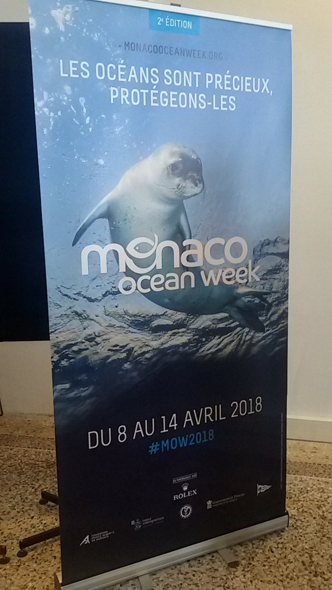 StefaniaDiVito's tweet photo. .@Legambiente at the #MOW2018 presenting the successful project #plastcfreebeaches and the next #closetome(d) project. With other mediterranean NGOs. We are all connected against #plasticpollution https://t.co/C8oVfQki8J