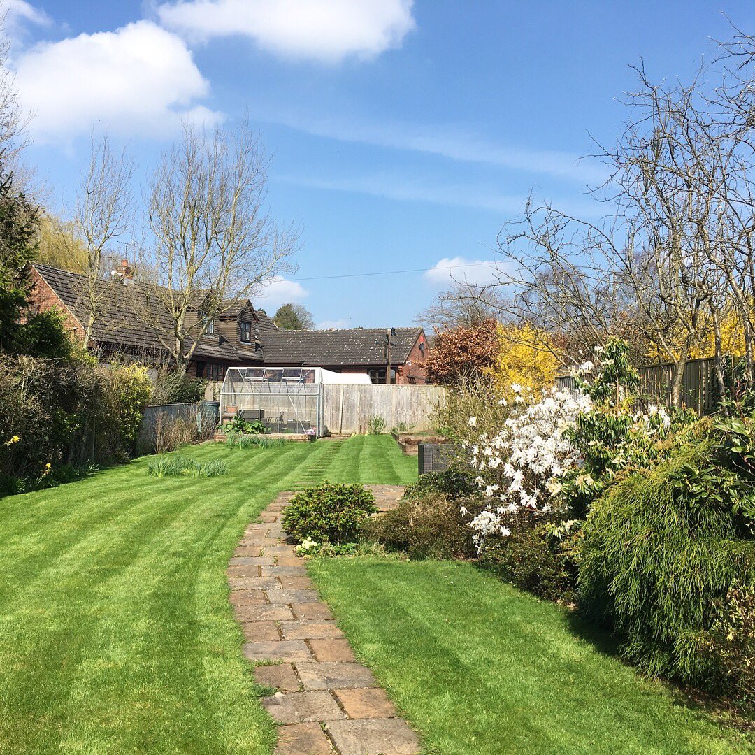 imo_r_'s tweet photo. ๐๐ Flash Sale! ๐๐ Vitamin D - Buy one get one free today only - Hurry while stocks last! โ๏ธ๐โ๏ธ
.
.
#springishere #springisintheair #springiscoming #summeriscoming #nofilters #lawntime #mowthelawn #greengrassofhome https://t.co/L0s2jDlhAv