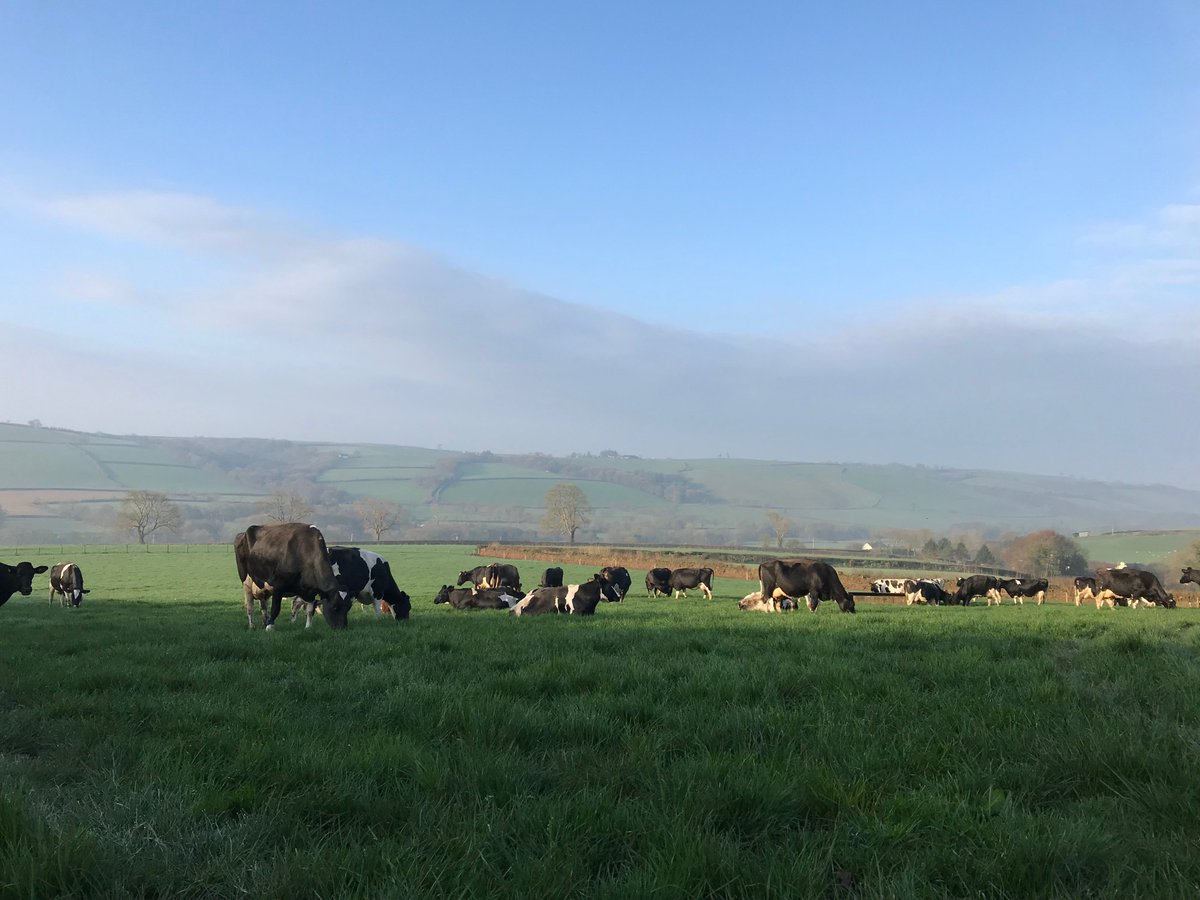 Day 2 #Springtime2018 #dairyfarm #icecreamtime #verneysmoltonice