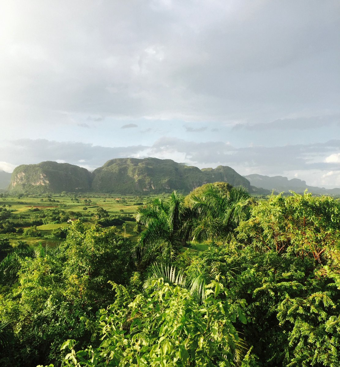 Cuban_Trips's tweet photo. Join us in Cuba and you will experience the magic of Viñales valley. We will take you on tours of organic farms while you enjoy farm-to-table meals and meet local farmers. #farmtour #culinarytravel #beauty #travel #travelagency #Cuba #cubatravel #travelpics #travelbloggers https://t.co/Q6V3oUCaGw