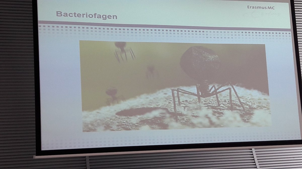 icbpsteam's tweet photo. Wat zijn bacteriofagen? Dr Ardt Struys verteld erover tijdens de LCD. https://t.co/4lPAKt1TWL