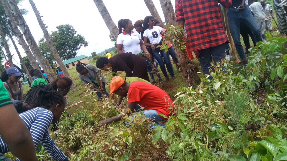 KabziiiG's tweet photo. The @GreenRID9212 #kakamega tree planting #2000 tree seedlings planted , more than 10clubs represented, 82 rotaractors , kakamega prisons department #kakamegayouthsenate , #GoGreen #treeplantingKe #rotaract50 @rotaract_d9212 https://t.co/OOd55UtmgC