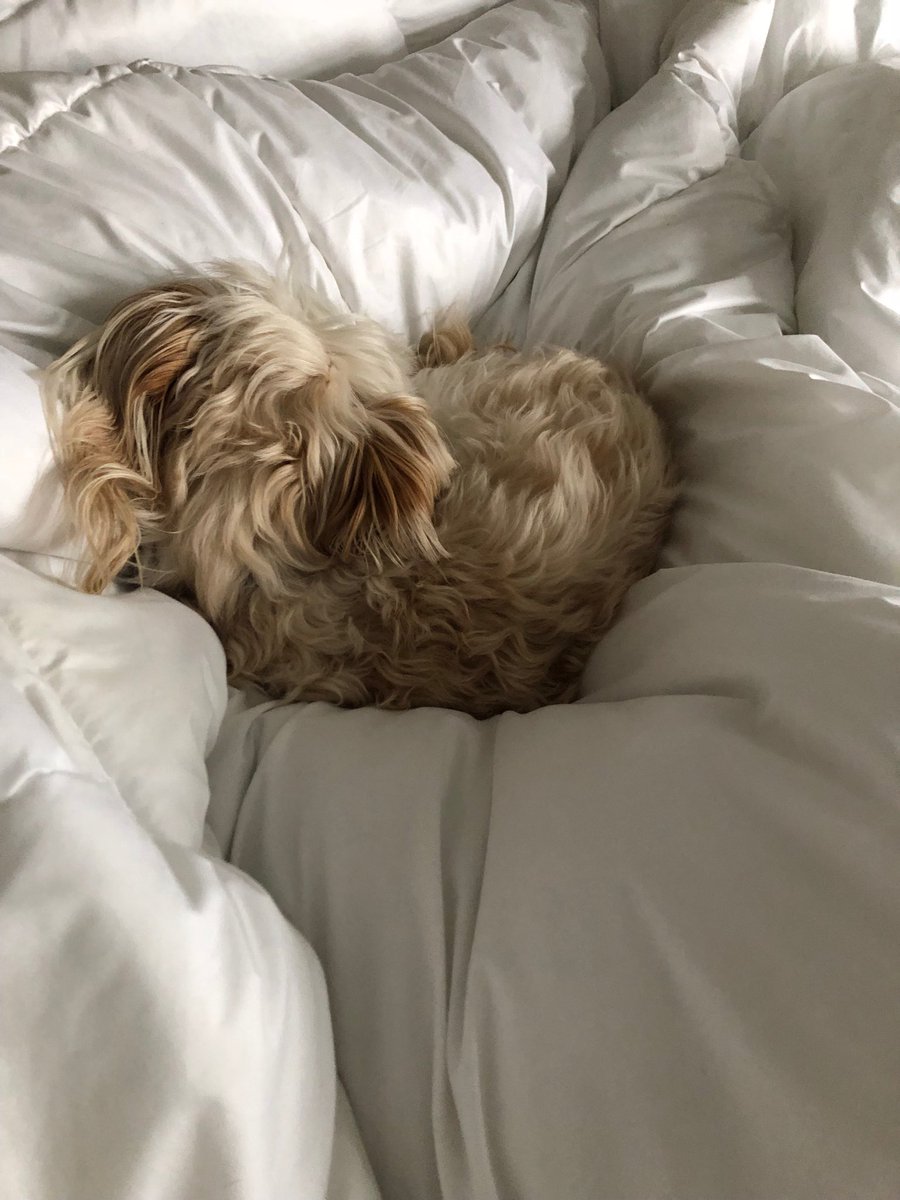 Paul Lambert (MeatSauce1) Twitter