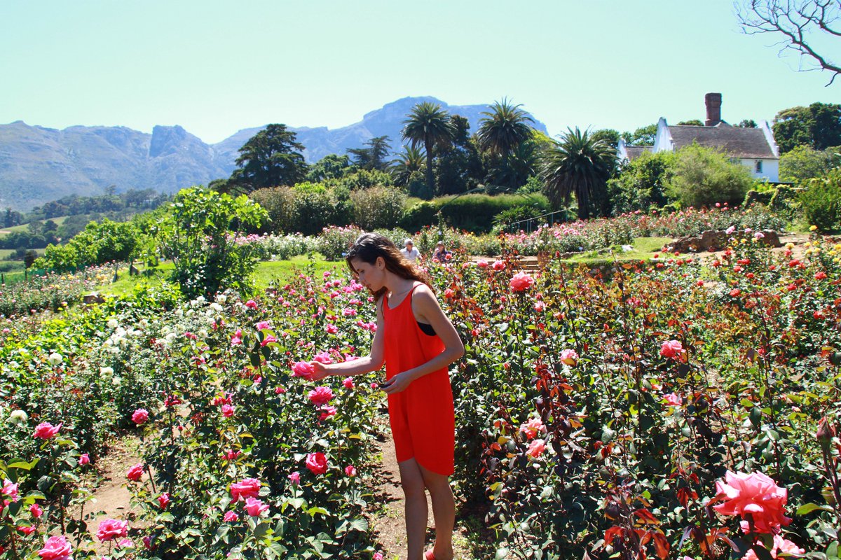 capetonianheart's tweet photo. Cape Town For Flower Lovers — Chart Farm https://t.co/fncajfZDVm @CapeTownEtc @CapeTownMag https://t.co/WWxOjh5xFX