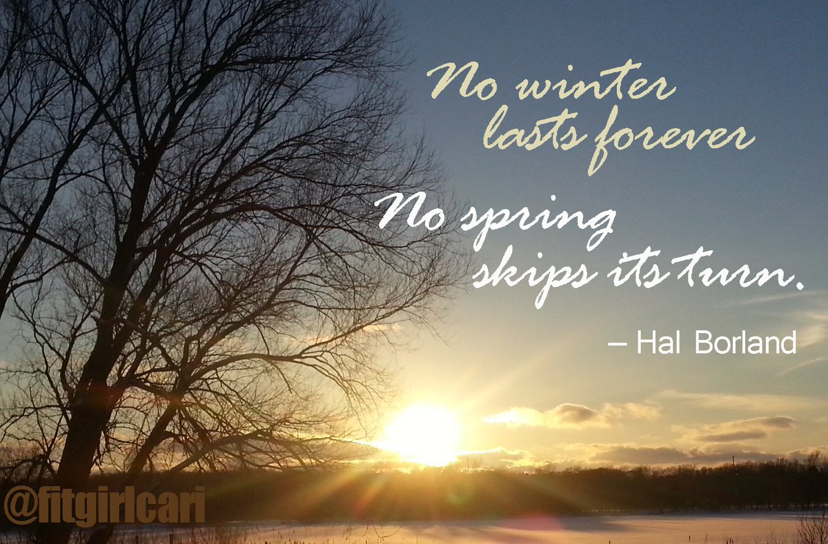 fitgirlcari's tweet image. look at you, firing up your twitter! tell us more about your succulent gig, Lisa! #nowfollowingback ---&amp;gt; @SmithAlviar