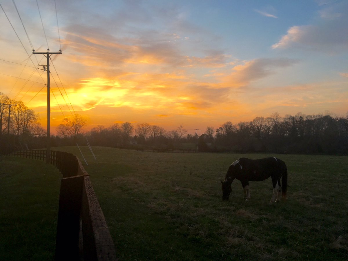 hoonurse's tweet photo. Spring morning #13mi #runcrozet https://t.co/sTJJmLefWx