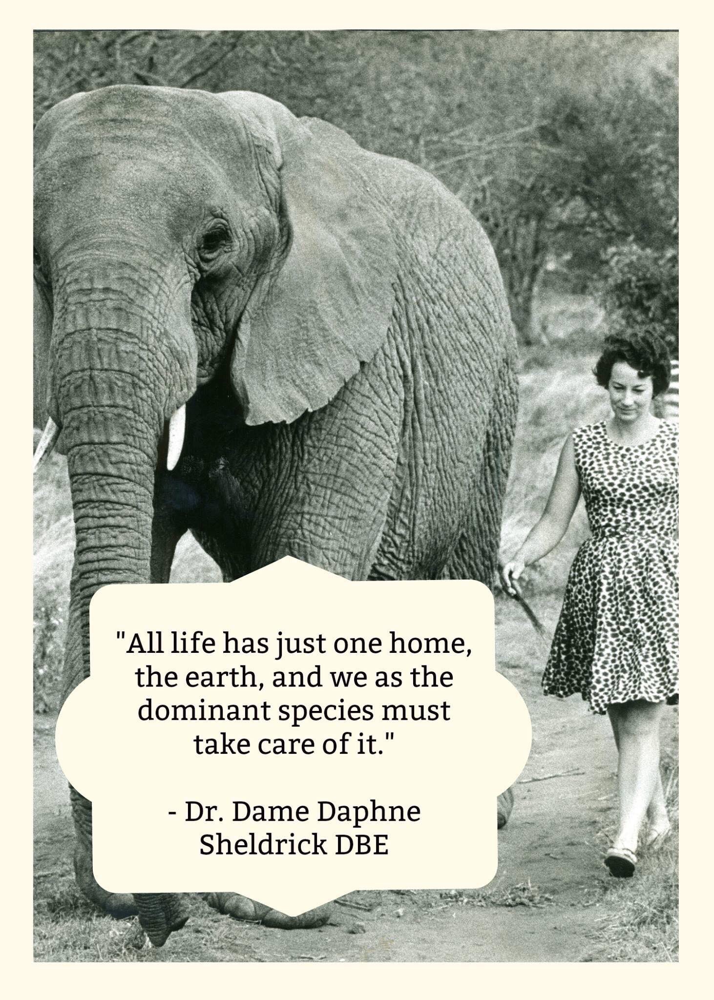 Sedative Fahrenheit world Kristin Davis on Twitter: "Dame Daphne's wise words. It's impossible to believe she is gone ..... I was lucky to know her and i feel a huge commitment to continue her work Sedative Fahrenheit world Kristin Davis on Twitter: "Dame Daphne's wise words. It's impossible to believe she is gone ..... I was lucky to know her and i feel a huge commitment to continue her work