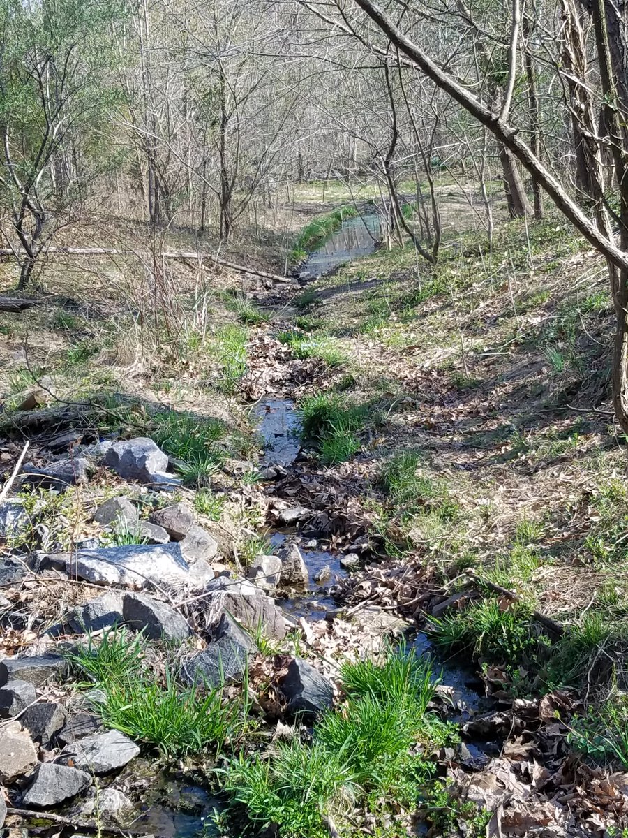 A beautiful day spent cleaning our waterways!🌍🌊 <a href="/ISFYouth/">ISF Youth</a>  #plasticsucks #savetheplanet #youthservice #passionproject