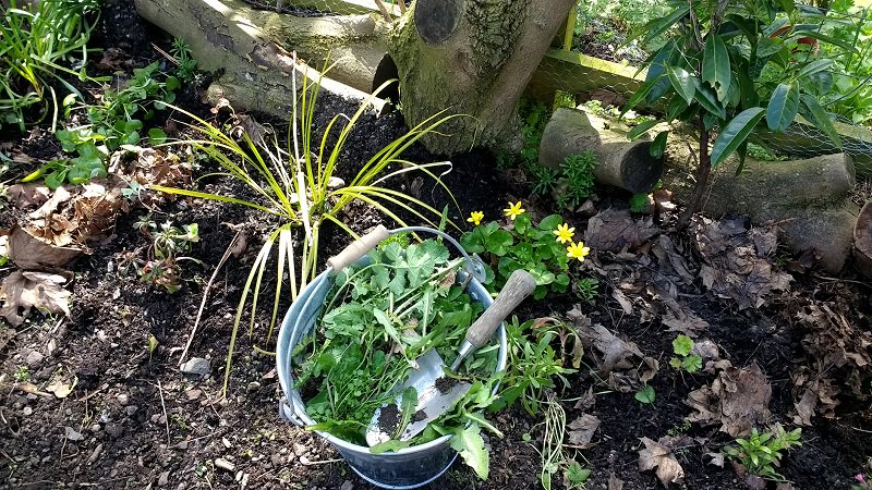 MyArtshack's tweet photo. #spring has finally arrived at the Artshack :-) #weeding #notmaking
https://t.co/ZBWZaH0uOe https://t.co/uwIy2mn1MZ