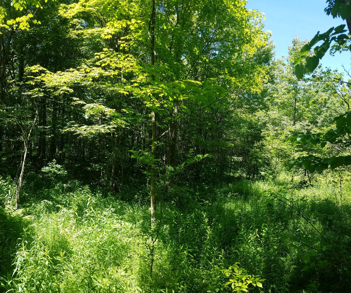 Landandcamps (Land_and_Camps) Twitter