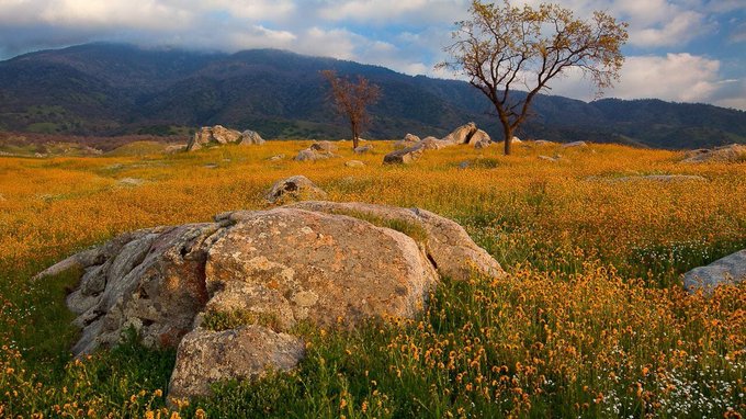 My new environment. I&rsquo;m so happy. https://t.co/7aMxHYgA3x<a href="/tag/peepingtom"class="tags"><span>#peepingtom</span></a><a href="/tag/publictoilets"class="tags"><span>#publictoilets</span></a><a href="/tag/peeface"class="tags"><span>#peeface</span></a>