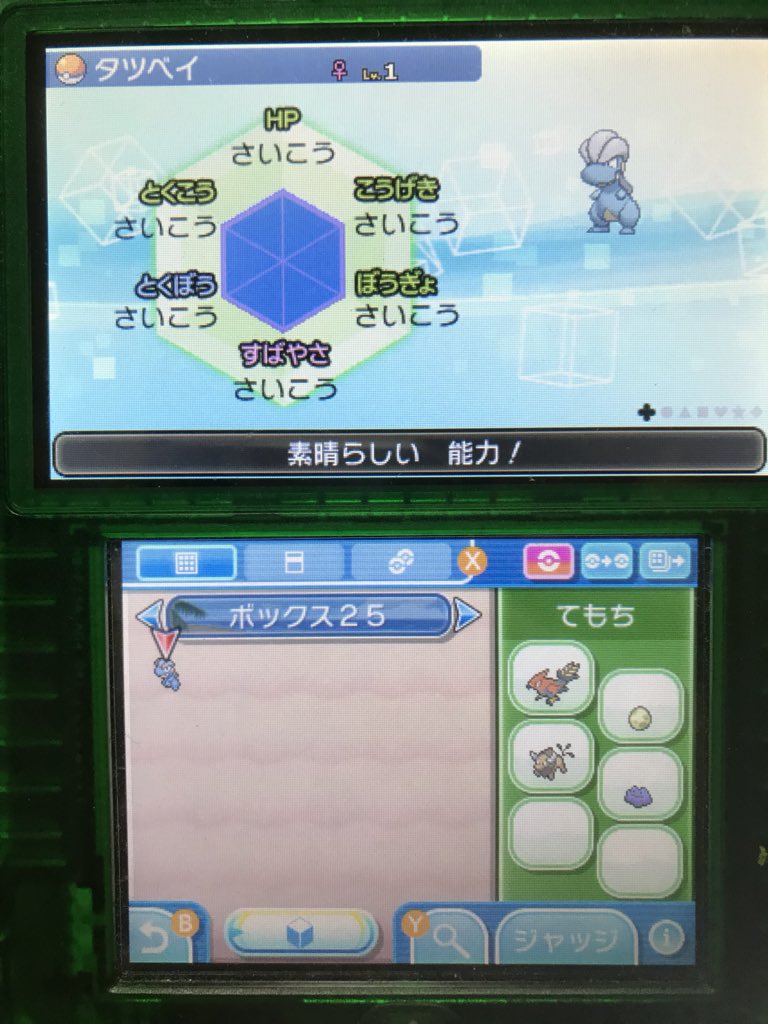 あーるてぃー りーふぃおん ポケモン6vハンター タツベイ6v 次回はヨーテリー ポケモン厳選 ポケモンウルトラサンムーン ポケモンusum ポケモン好きさんと繋がりたい T Co 5cltfgmwu1 Twitter