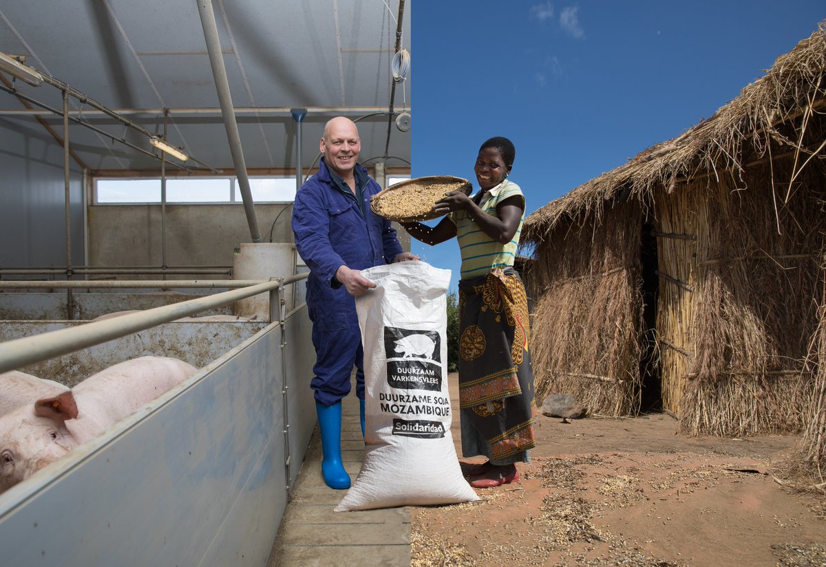Hoe kunnen varkensboeren, slachterijen en retailers de veevoederproductie helpen verduurzamen? Keten Duurzaam Varkensvlees <a href="/duurzaamvlees/">DuurzaamVarkensvlees</a> zocht het uit in Mozambique met Solidaridad. Lees verder op onze site of in de Volkskrant. ow.ly/GCCc30julSq