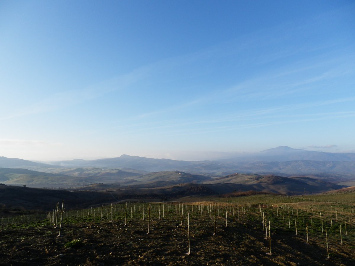 Val d'orcia #landscape from #Tuscany #Equestrian

tuscanyequestrian.com
#photography #photo #Siena #valdorcia