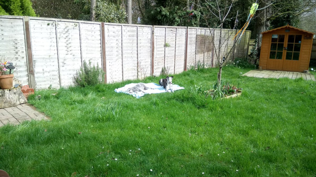 spurd6's tweet photo. Don't just lay there.. Start the mower https://t.co/PAvkp9a3mJ