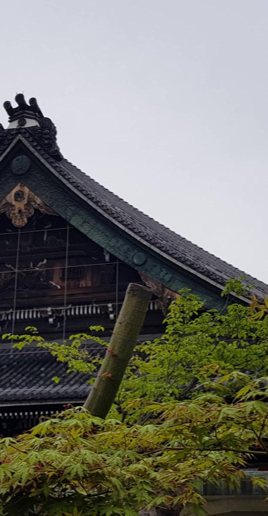Noctalia_'s tweet photo. Kyoto définitivement mieux que Tokyo à mes yeux 🌸💕 https://t.co/uJwh7C4521