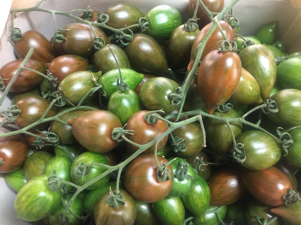 AldoZilli's tweet photo. Best seasonal produce #cookingweekend #Abruzzo #Region #myhome https://t.co/S53czOUISb