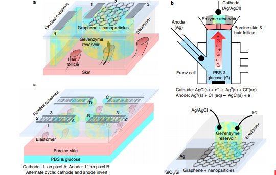DiegoBellido2's tweet photo. La monitorización intersticial de glucosa avanza a pasos agigantados gracias a la nanotecnología  doi:10.1038/s41565-018-0112-4 https://t.co/KXA7HW0R8t