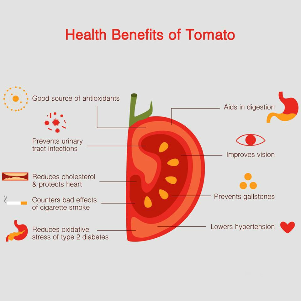 ConsumerHDigest's tweet image. Did you ever imagine that the ubiquitous tomato is a powerhouse of benefits? Let&apos;s look at how the humble tomato can be our friend. 
#ConsumerHealthDigest #TomatoBenefits