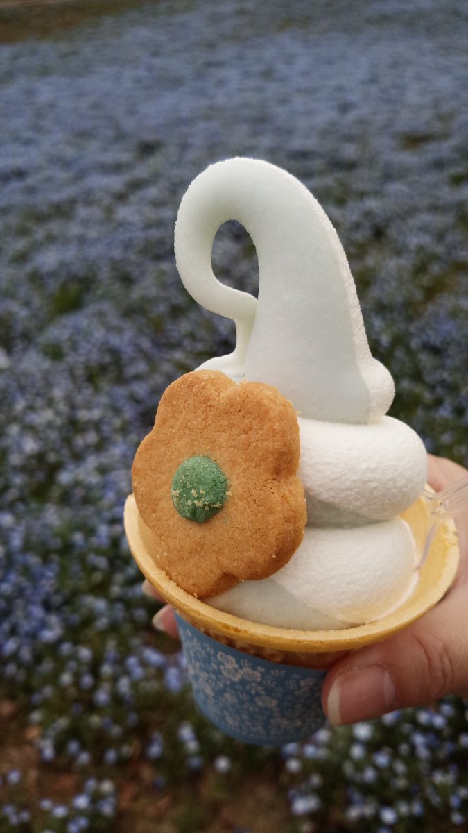 ট ইট র えーた ひたち海浜公園 ネモフィラソフトとネモフィラカレーを食べました ひたち海浜公園 青いカレー ネモフィラソフト