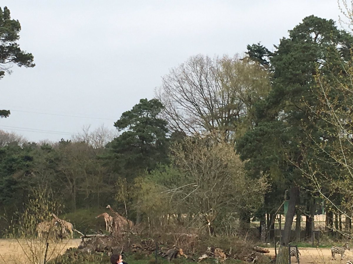 de_gruijter's tweet photo. @Wijzonol bedankt voor de leuke dag in @burgerszoo https://t.co/9qb9wr9QUT