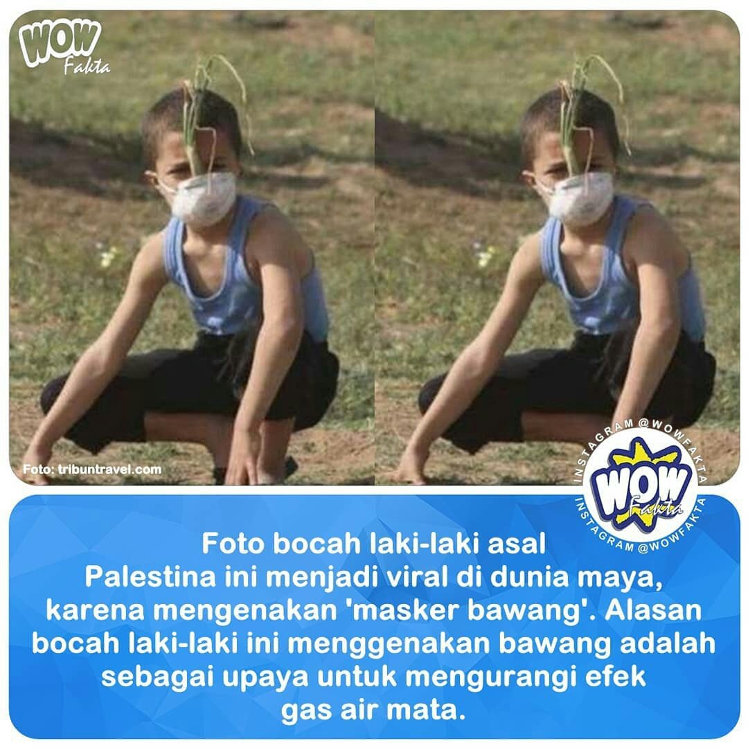 FAKTA FAKTANYA WOW On Twitter Dalam Foto Tersebut Ia Tampak