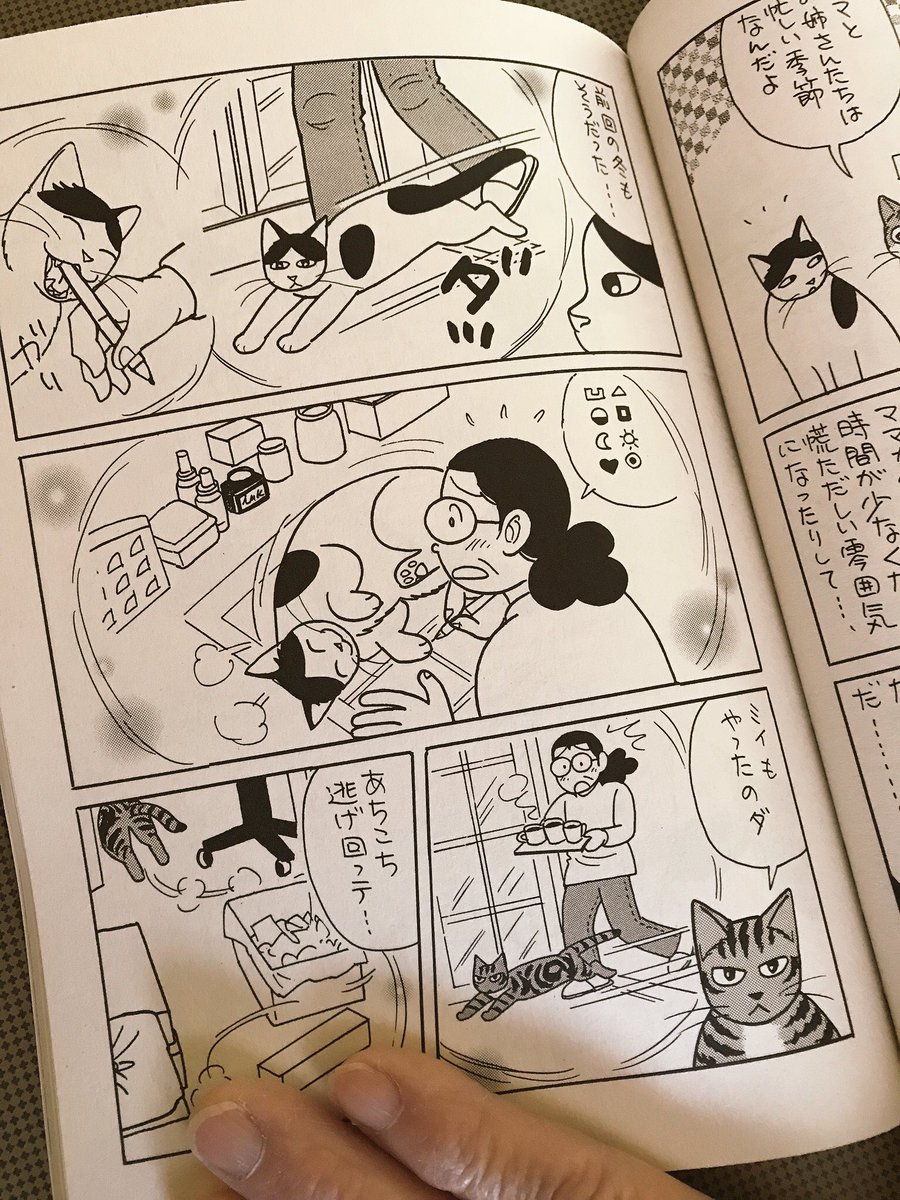 セツコ山田 #現役漫画家 #一丁目のトラ吉 #つれづれ猫日記 #ちょっと前