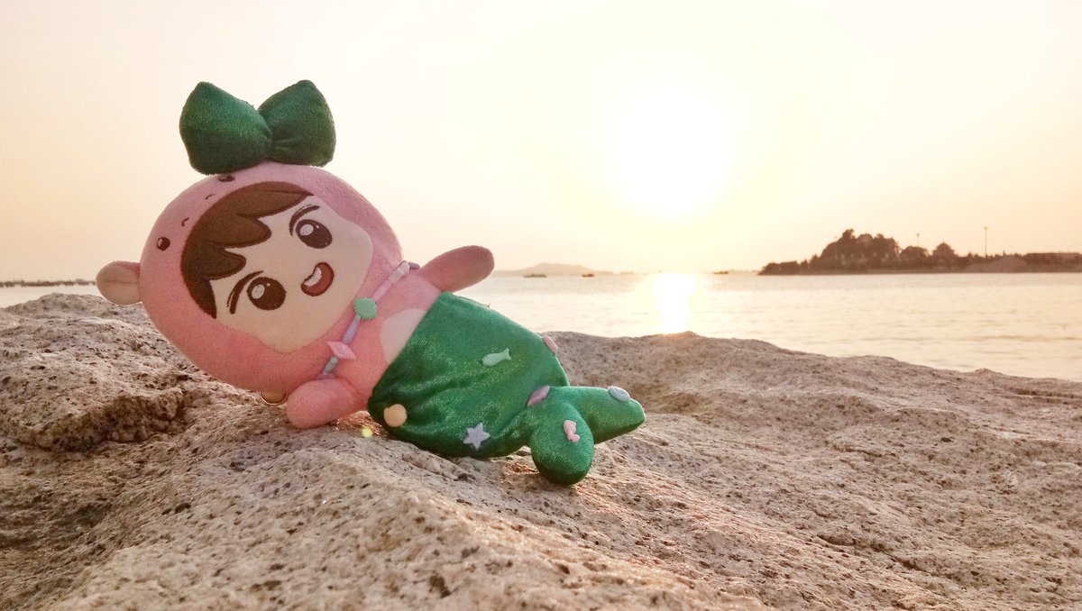 noonzzaram's tweet photo. เกยตื้นป้ะ ช่วยน้องด้วย😂 #haeppo #haechan #fullsun #mermaid #nctdoll #해뽀 #해찬 #해쨔니 💚 https://t.co/EckZ4auzc5