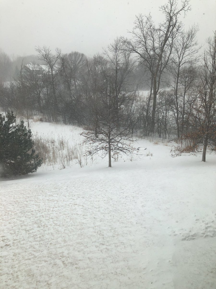 Not exactly what we were hoping for on Lacrosse Day Minnesota. 😡 We will be back next year!