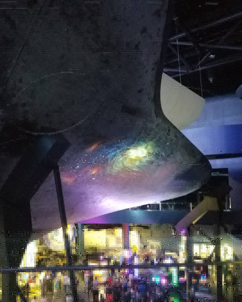 Astroeco_Morgan's tweet image. Had a fun night socializing under #SpaceShuttleAtlantis  @yurisnight_FL at #NASA #KennedySpaceCenter. Got back to the hotel close to 1am. Now, I am about to leave #Florida on my 8:26am flight. 😅
#space #community #scicomm #yurisnight #yuri #atlantis #spaceshuttle