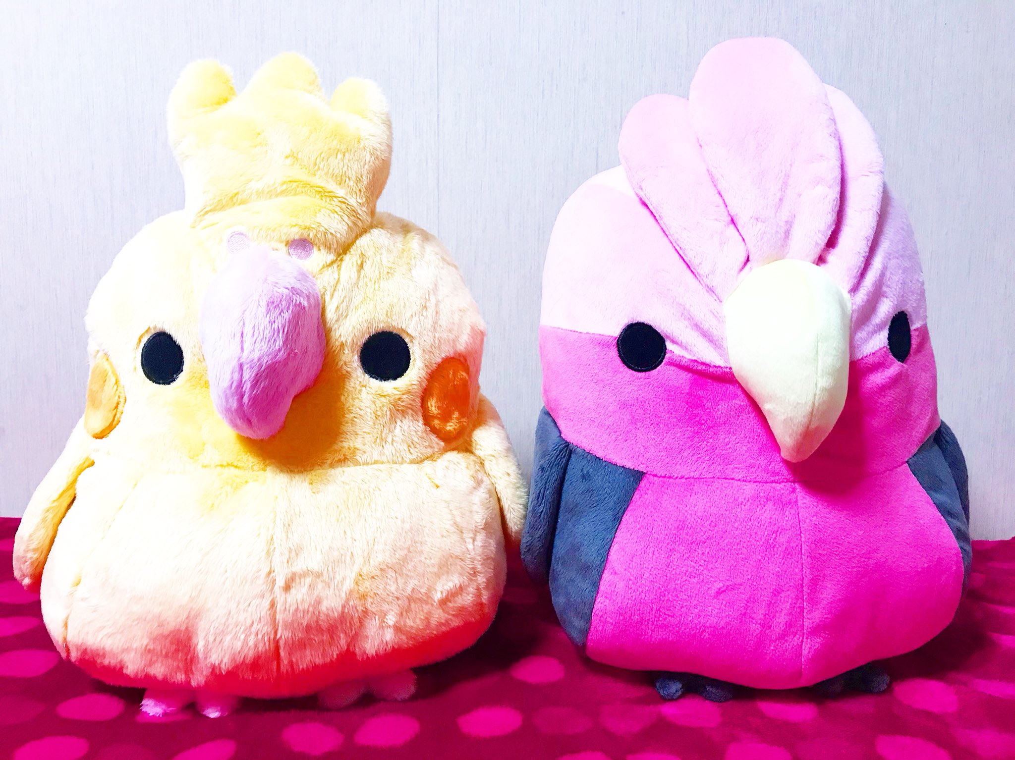 galah plush