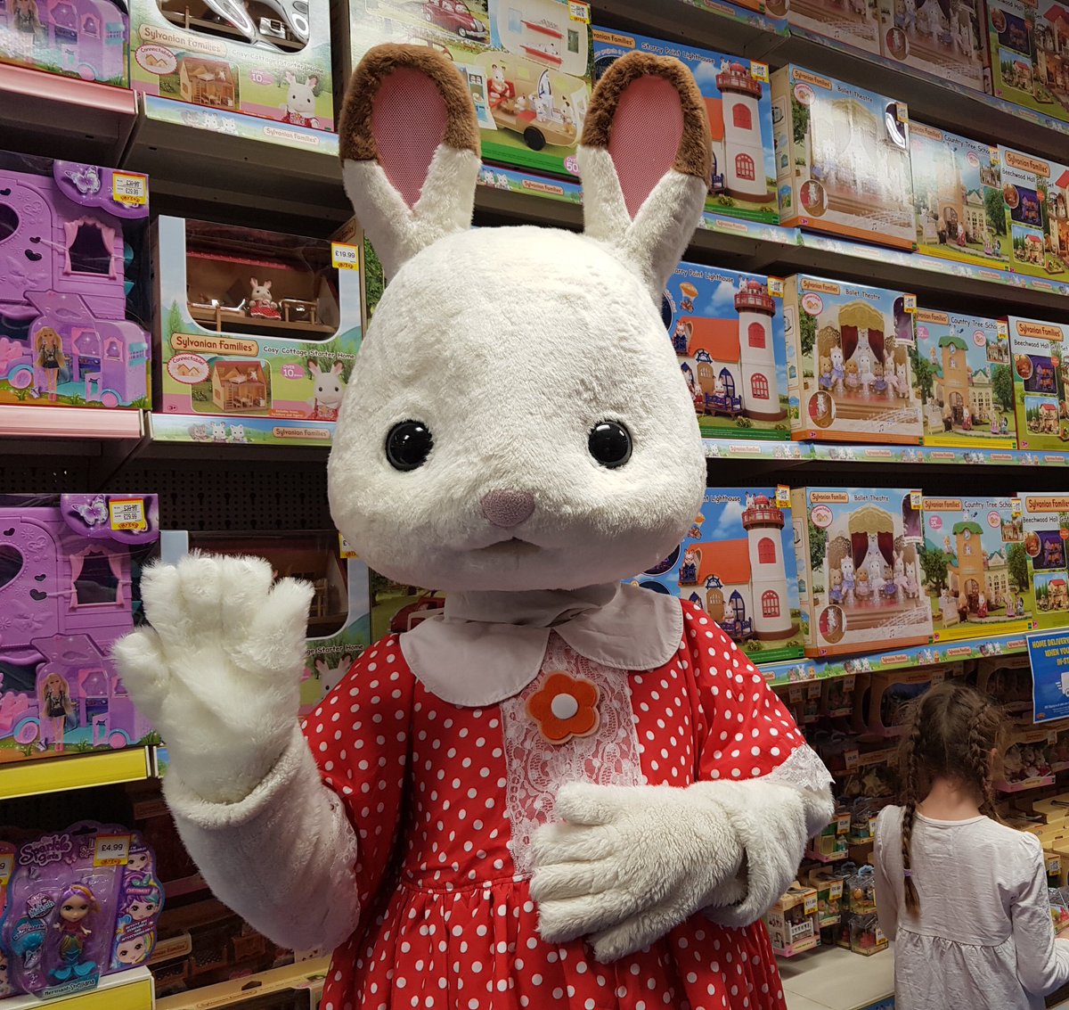 smyths rabbit