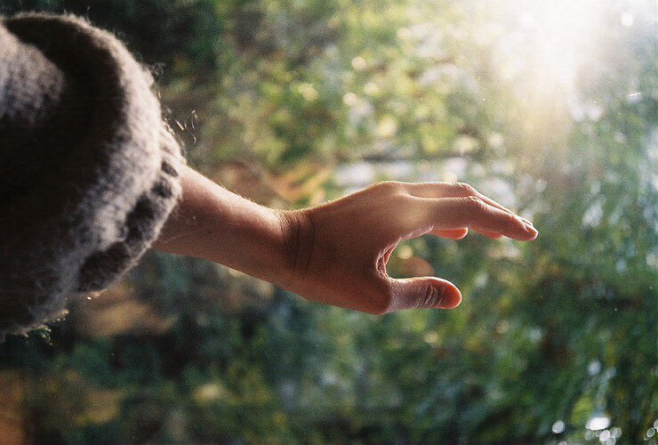 ꒰ หวายมีแมวชื่อแบบี๋ ·˚ ༘ tweet media