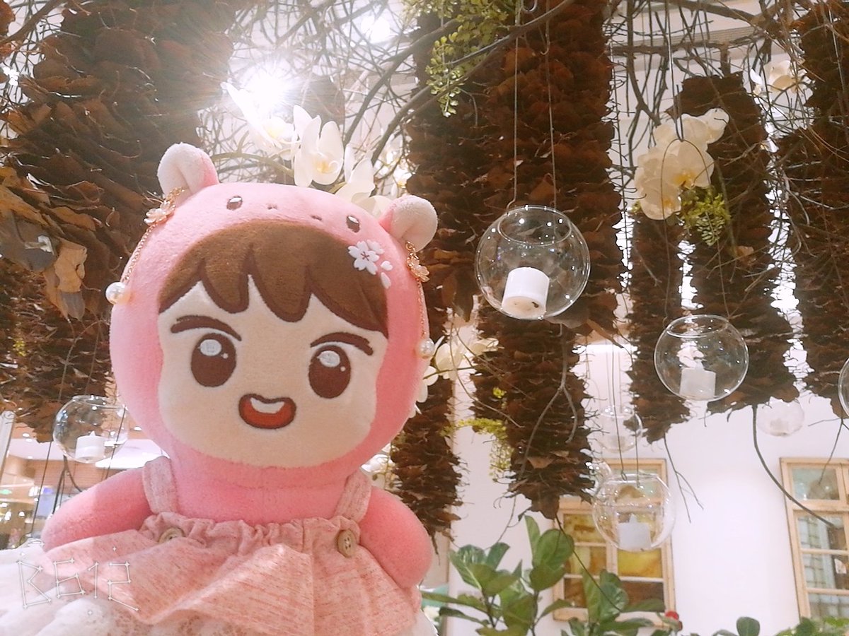 coldsummer0606's tweet photo. #해뽀 #haeppo
#HAECHAN
下午茶😚 https://t.co/284UJf5AKO