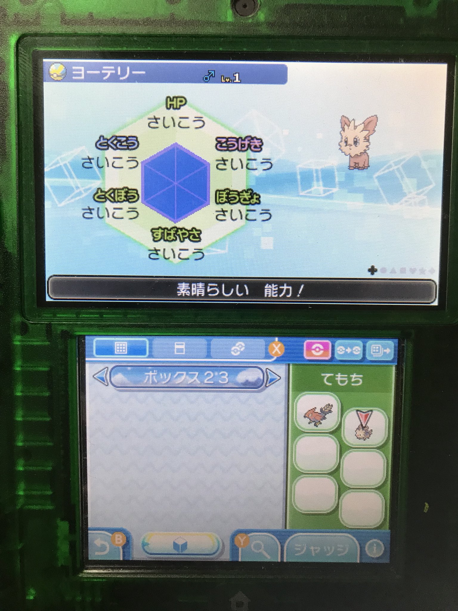 Rt Leafeon ゆっくり実況 ポケモン厳選歴史研究家 自称 ヨーテリー6v いいペースだぁ 次回はイーブイ ポケモン厳選 ポケモンウルトラサンムーン ポケモンusum ポケモン好きさんと繋がりたい