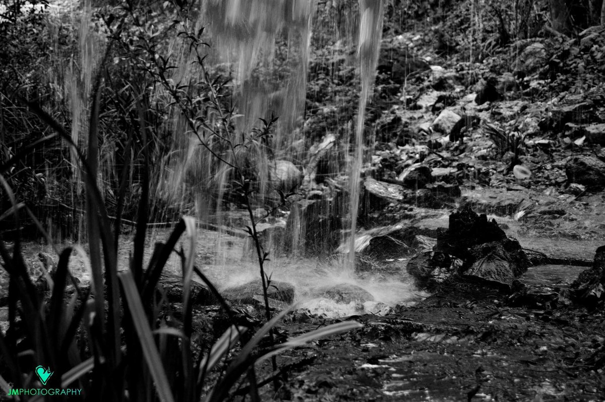 JMPHOTOGRAPHYJA's tweet photo. 2. Río Frío (Jaén, Sierra Sur) https://t.co/PpCxSnVzjs