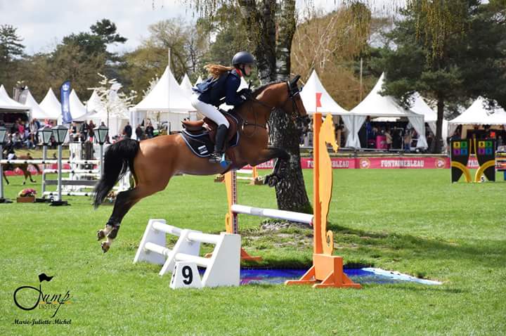 studforlife_fr's tweet photo. Nous sommes samedi jour de Coupe des Nations ! La France sera-t-elle de nouveau victorieuse ? #BIP2018
15h30 👉🏼 Première manche 1.30m
16h35 👉🏼 Deuxième manche 1.30m
Départs 📋 https://t.co/mNIi2zJnFr
Direct 🎥 https://t.co/oybsOIciiY https://t.co/mzopK8GVmJ