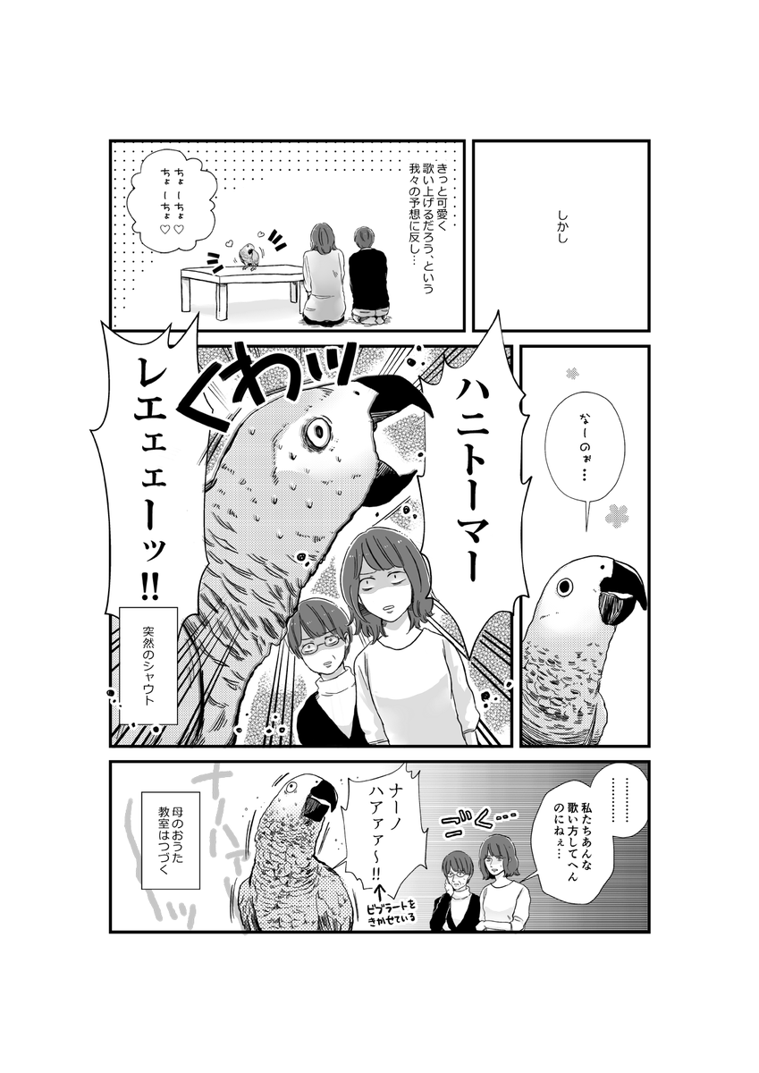 ヨウムのロッコの漫画です?
去年描いたものなので絵が古くてちょっとだけはずかしいのですが 