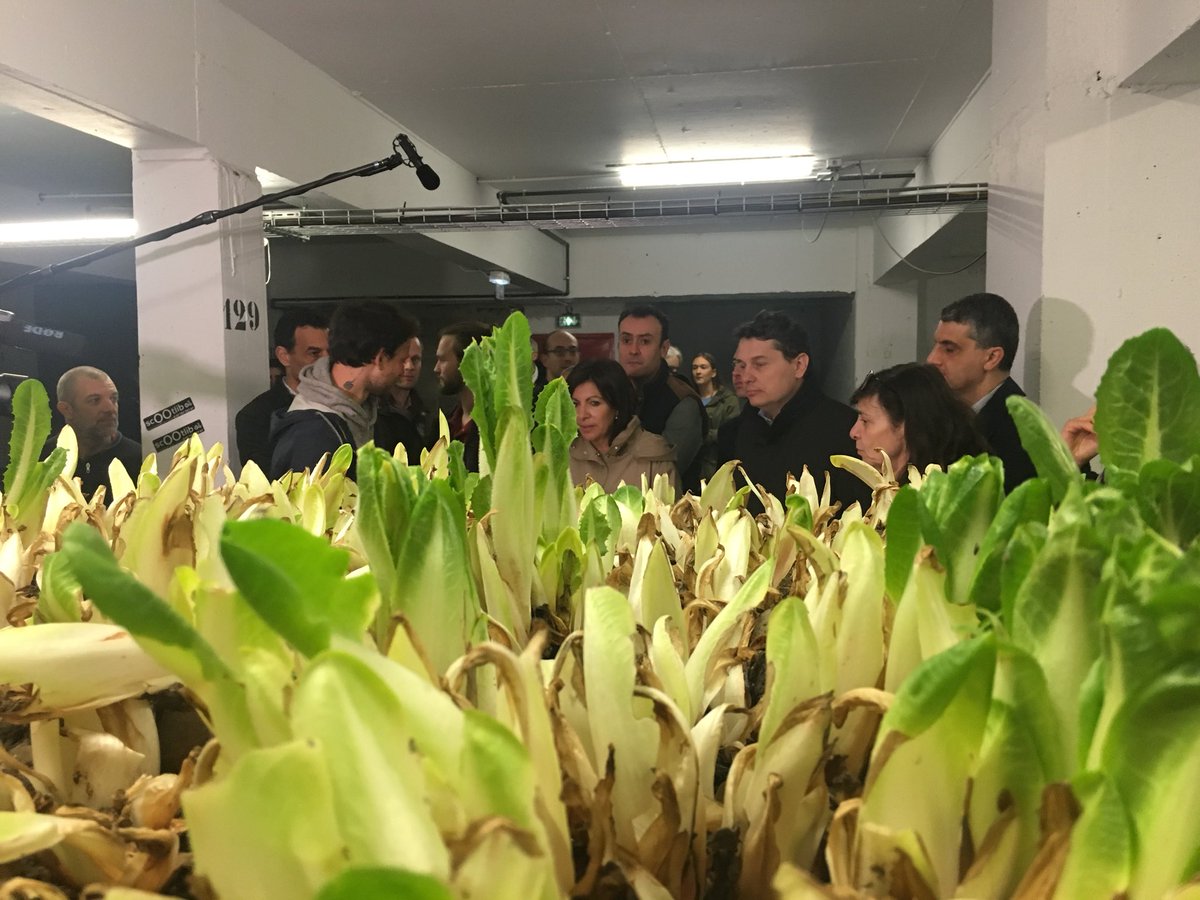 EricLejoindre's tweet photo. Incroyable initiative de @Cycloponics dans ce parking de la rue Queneau : on cultive des champignons et des endives bios à #Paris18 https://t.co/9PMFZg5uJx