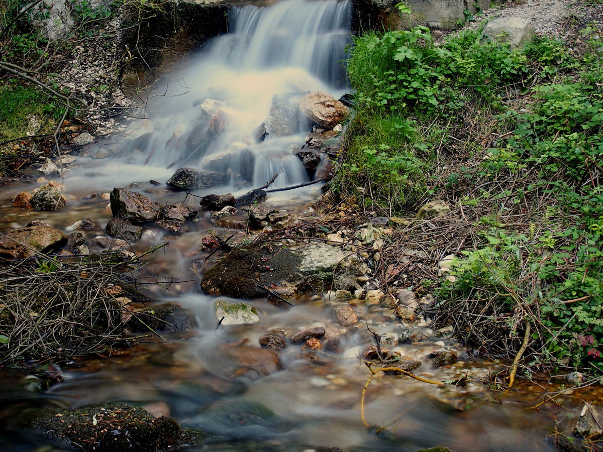 YourAbruzzo's tweet photo. Buon pomeriggio da questo splendido ruscello immerso nella splendida area naturalistica del Parco Nazionale della Majella a  Fara San Martino, definita come “capitale mondiale della pasta”, data la presenza di celebri pastifici. #abruzzo #turismo  #wildabruzzo https://t.co/xoYejcx6nd