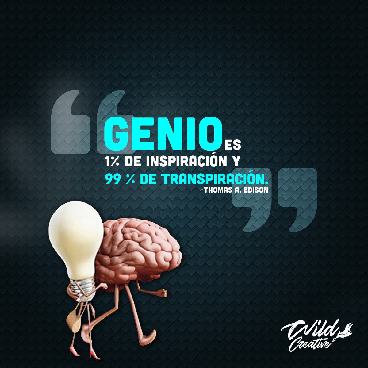 WildCreative_'s tweet photo. Inspìrate con nosotros..!!
#Inspírate #wildcreative https://t.co/NRK6MaWqhz