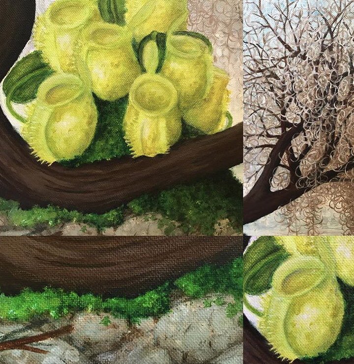 Close ups of these ampullaria I painted. #nature #art #love