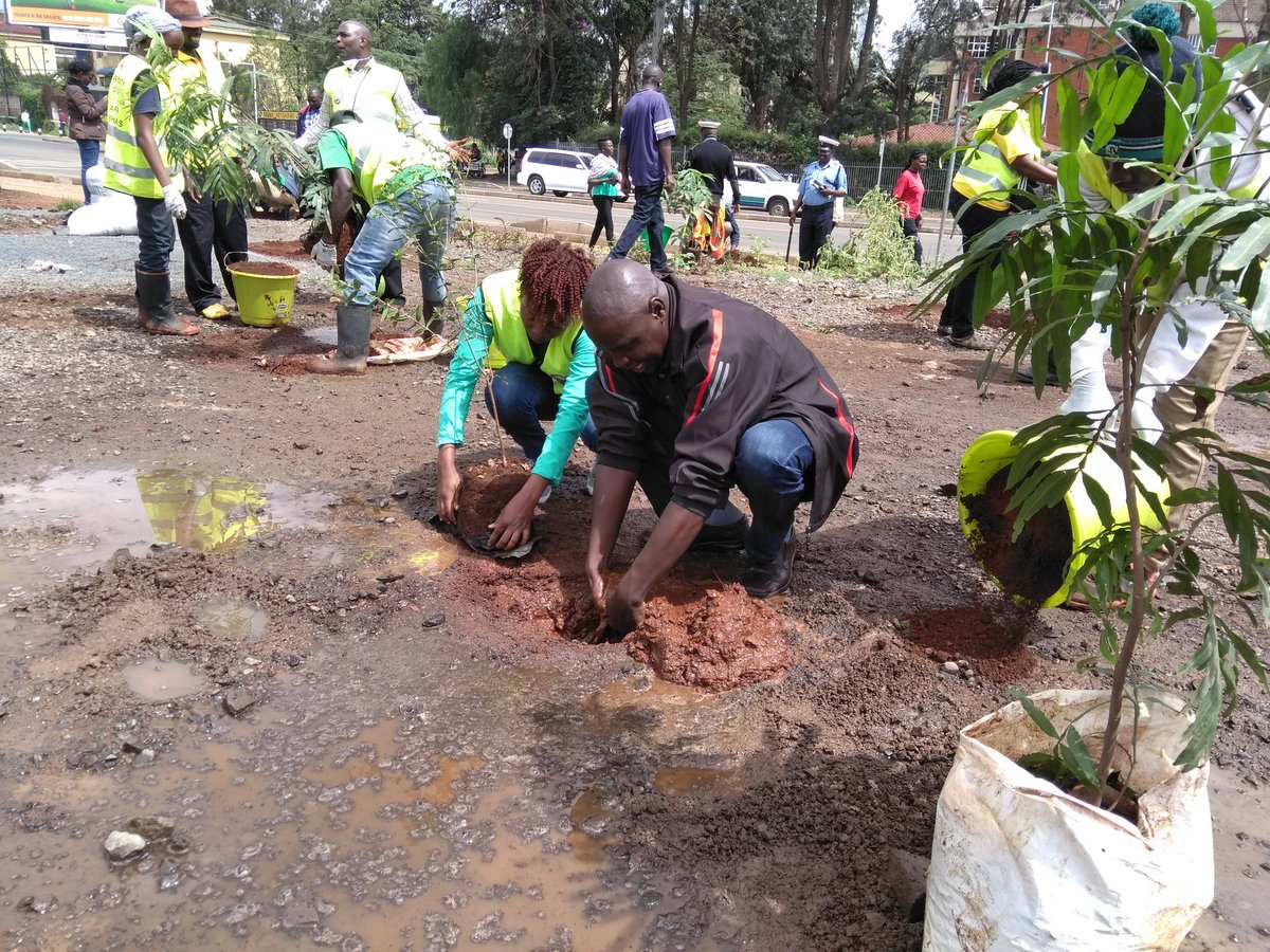 MitiAlliance's tweet photo. The opportunity to shape the future our city Nairobi will be determined by us not others. @wangari_nyanjui @Environment_Ke @MikeSonko @GShapersNairobi @GlobalShapers @SHAPEsustain #GreeningNairobi #BloomingNairobi #treeplantingKe #Pandacampaign @KeForestService https://t.co/YqQUXO945Q