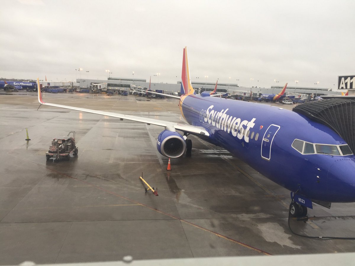 CccJamie's tweet photo. #afpfc Rain, rain go away! https://t.co/hN8ogPjGJv