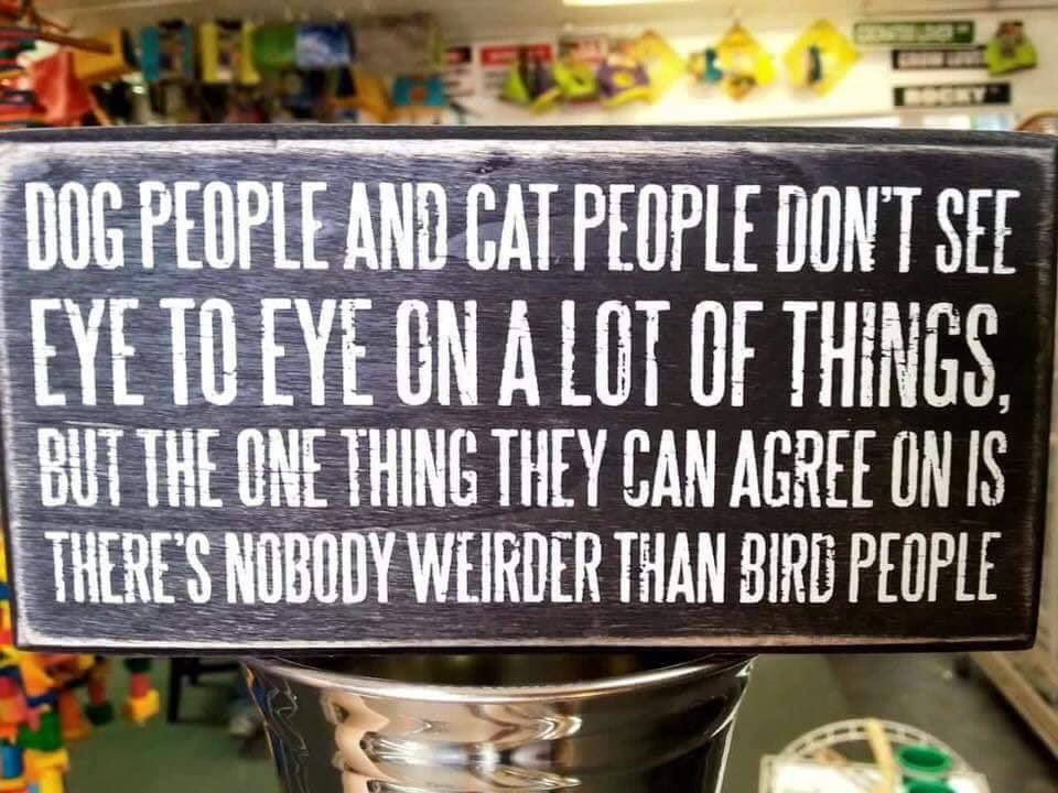 She bought this today.

And she’s hanging it up.

{<a href="/HobbledBird/">Oswald Cobblepot</a>}