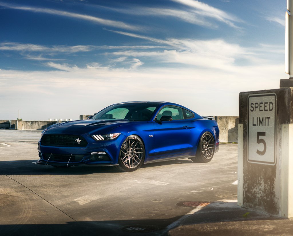 SVT_Cobras's tweet photo. #Photography at its finest...📷
#Ford | #Mustang | #SVT_Cobra https://t.co/W9Qpxt8e7H