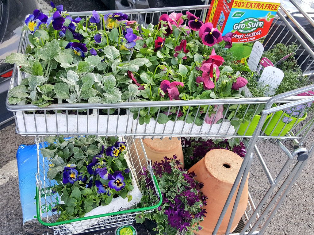 Colour explosion!! #Spring has arrived and we're gonna make sure Castle Hill House look her very best! 🌻🌼🌺🌸 #businesscentre #findofficespace