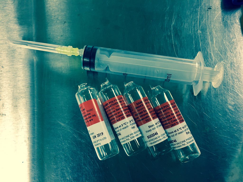 ED_NGH's tweet photo. @ChristoffBell the best place to spend an on call weekend.. in hospital with a 7yo cytotoxic envenomation with RPS.. 🐍😁 thankfully our quota of anaphylaxis has been met, none with this infusion! https://t.co/3YTRb8csMm